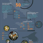 Generationenaufgabe Vogelschutz, Infografik, 2024