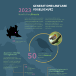 Generationenaufgabe Vogelschutz, Infografik, 2024