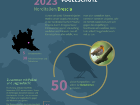 Generationenaufgabe Vogelschutz, Infografik, 2024