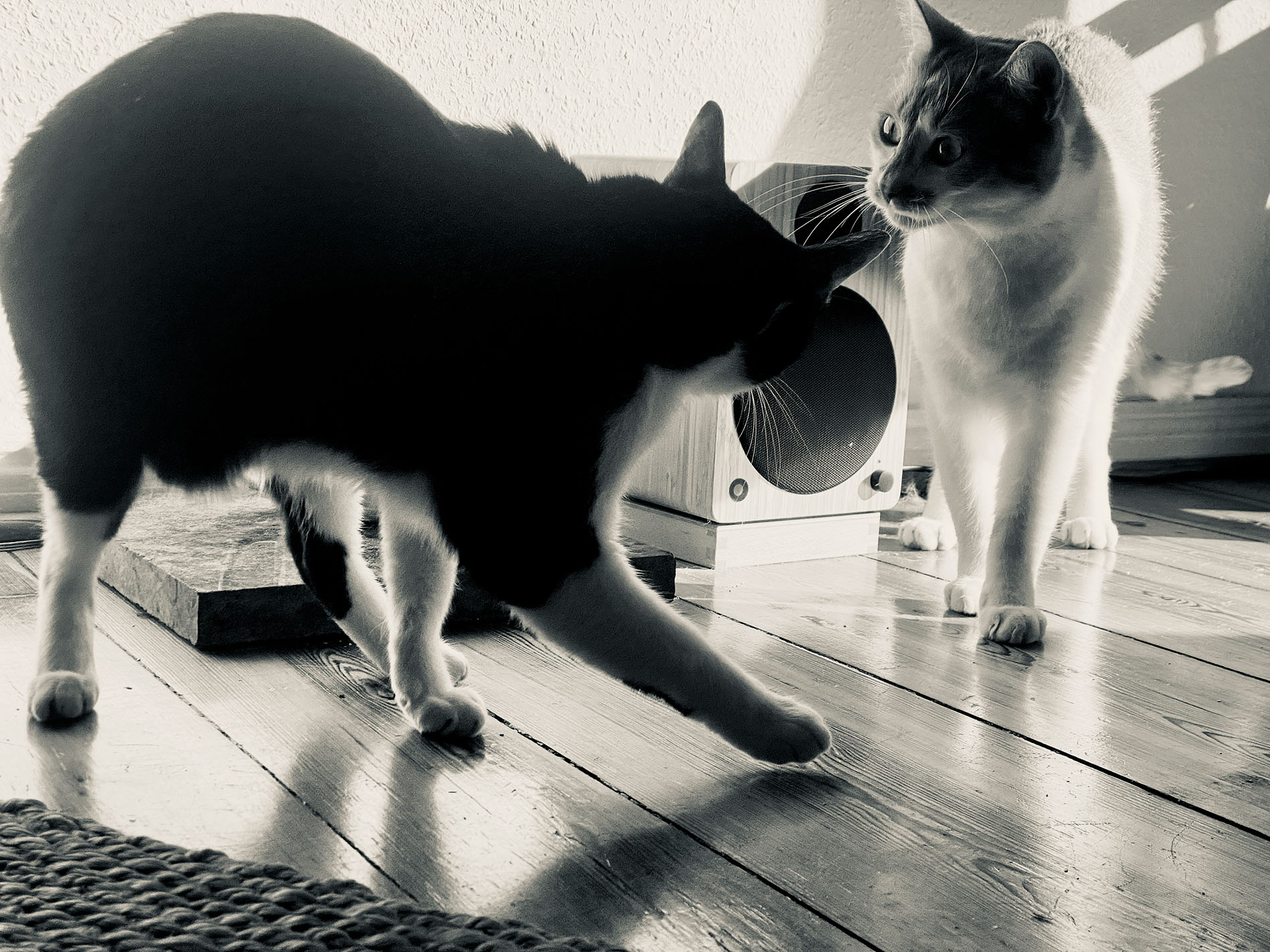Felix und Achim